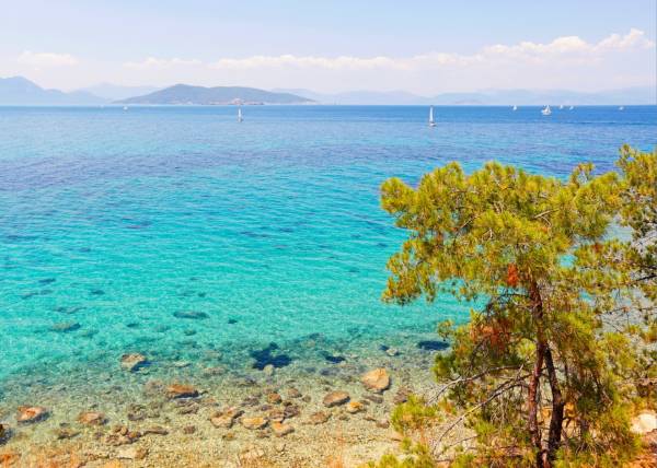 CRUCERO DE DÍA COMPLETO A AGISTRI, MONI & AEGINA - MINICRUCEROS POR ATENAS
